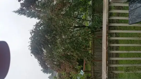 Full Tree