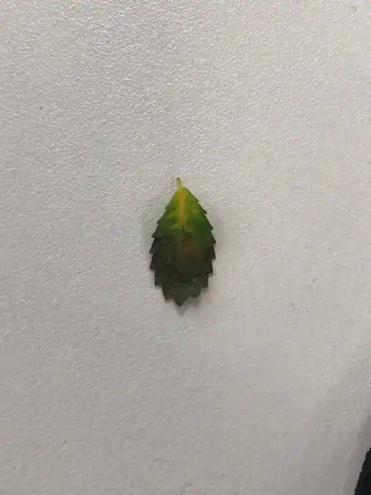 single leaf