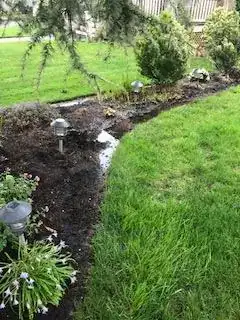 the area