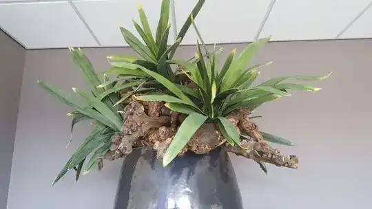 Hall way plant