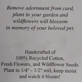 Back of card with instructions