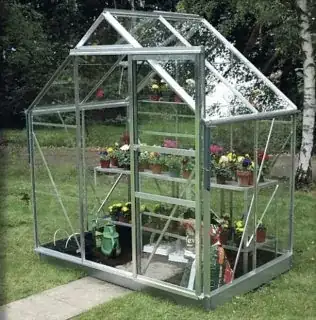 apparently dirt floor greenhouse