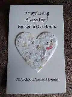 Entire front of card