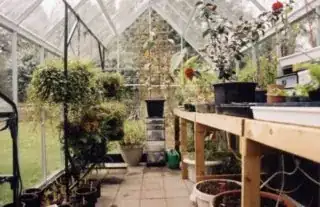 paved greenhouse floor