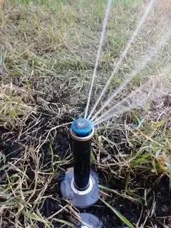 Nozzel doing nozzel things