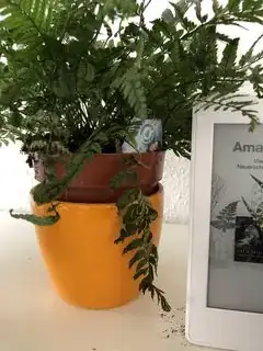 3rd