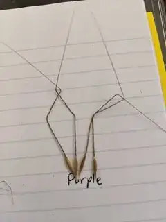 purple needlegrass seeds