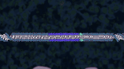 CRISPR
