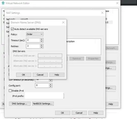 dns setting in vmnet8 NAT