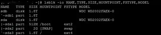 lsblk output