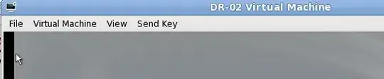 ss of guest vm with focus & tablet input
