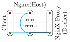 Man in the Middle Proxy