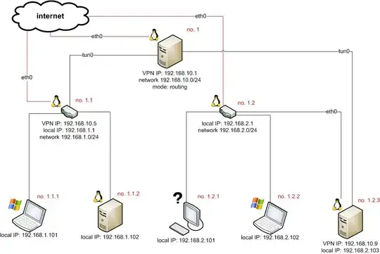 VPN network picture