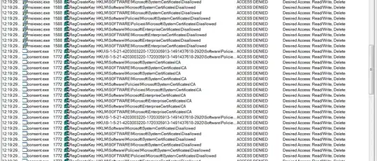 procmon log