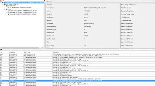 screenshot of MegaRAID gui