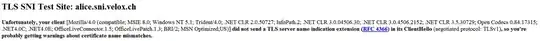 IE 8 SNI Test