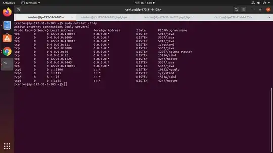 Netstat picture