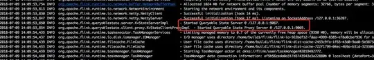 state server startup logging