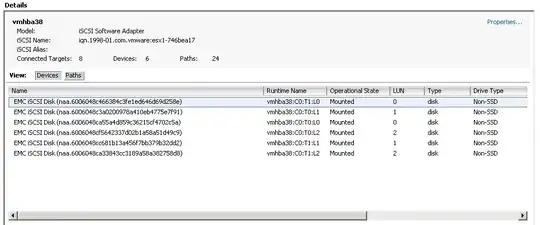 iSCSI Paths
