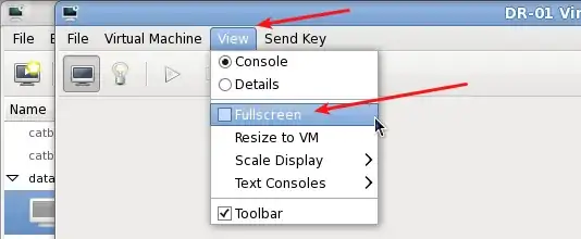 Guest VM in fullscreen