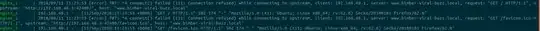 Console Error