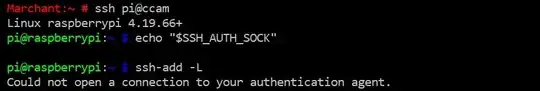No agent forwarding