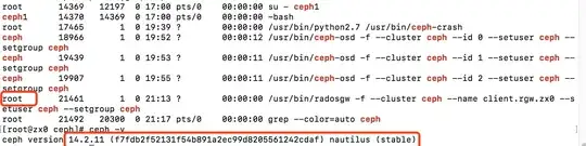 the owner of radosgw process is root