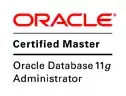OCM 11g