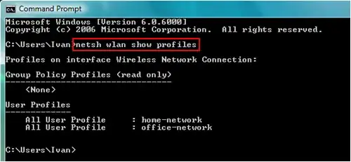 netsh wlan show profile
