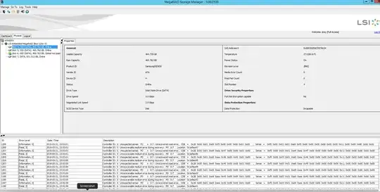 Megaraid Screen 2