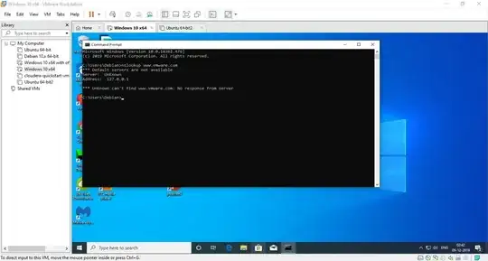 nslookup in virtual machine still failed