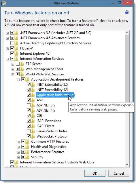 IIS Feature