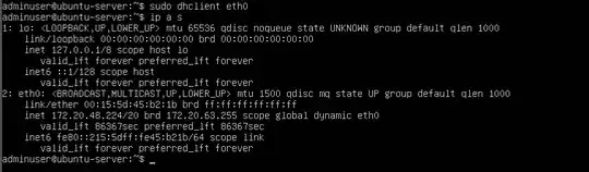 ipv4 address received