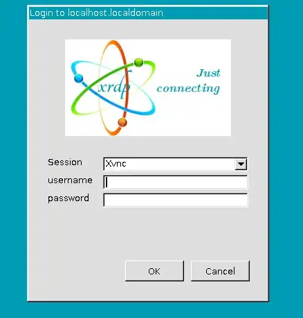 RDP connection screen