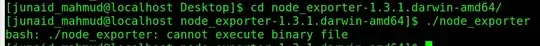 ERROR: node_exporter: cannot execute binary file