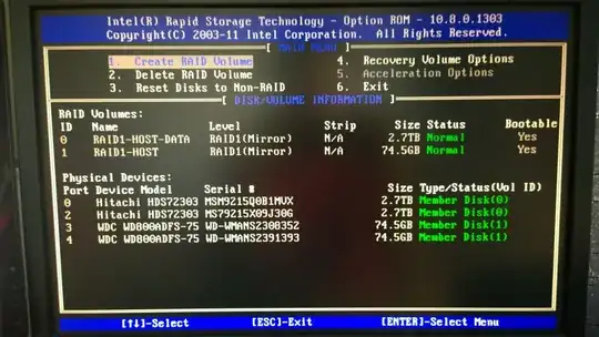 Screenshot of RAID configuration