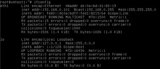 ifconfig for guest