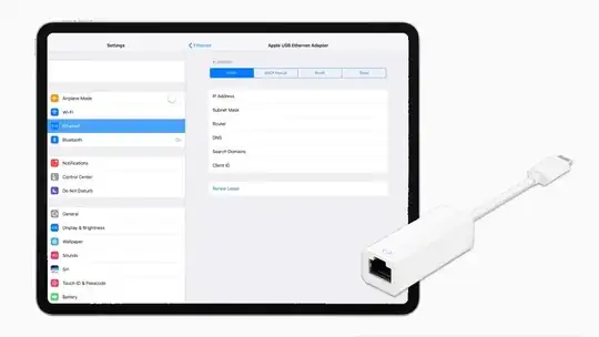 iPad Pro Ethernet Screen