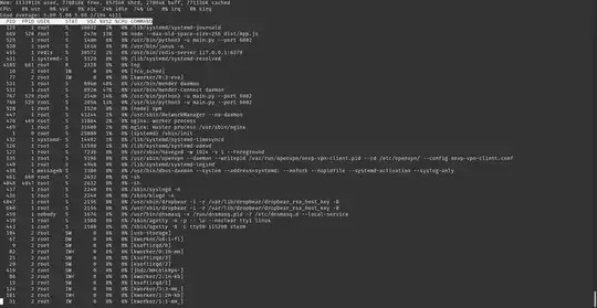 output of top command