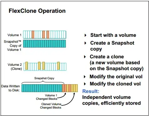 FlexClone