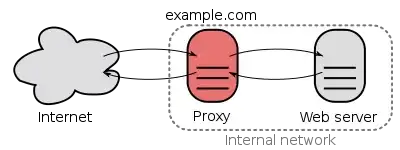reverse proxy
