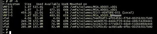 Datastore size as displayed from the esxi shell