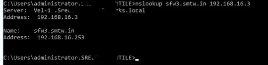 server nslookup