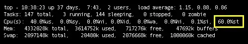 top command output