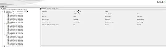 LSI MegaRaid screenshot