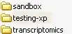 Directory from XP