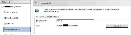 Report Manager
