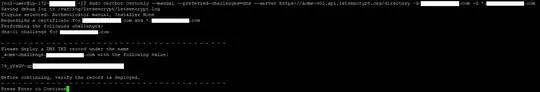Let's Encrypt wildcard certificate attempt