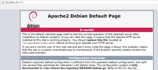 port 4041 root
