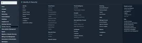 Oracle Cloud Identity Panel